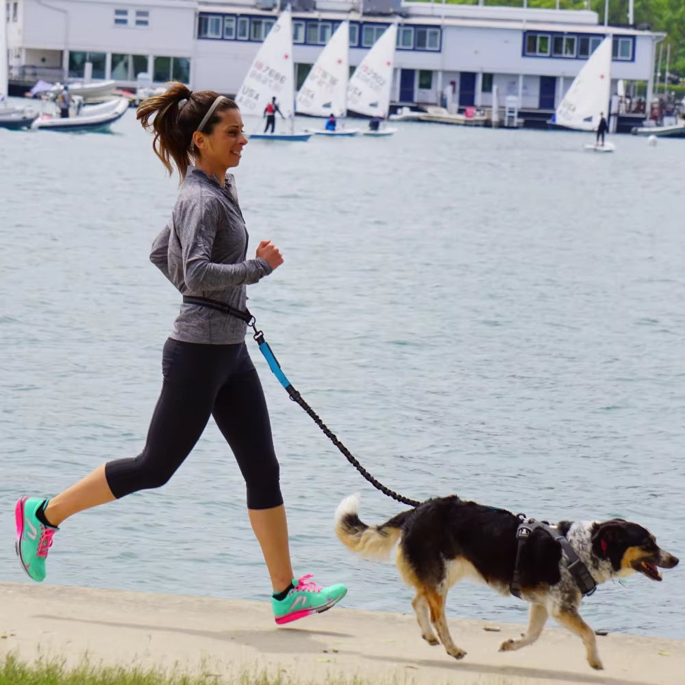 Hand Free Dog Leash for Pet