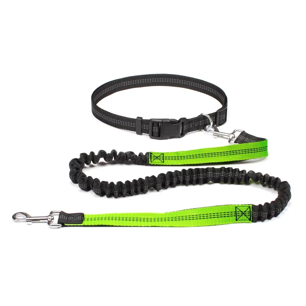 Hand Free Dog Leash for Pet