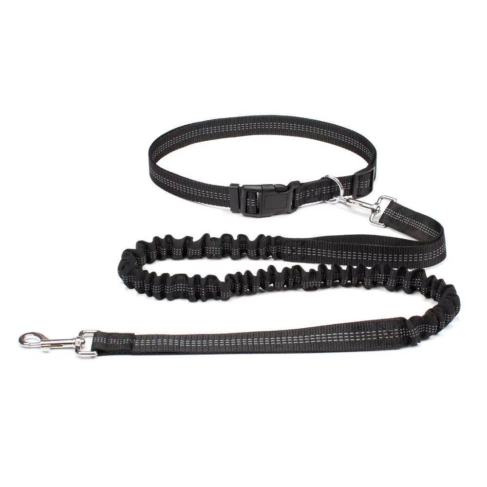 Hand Free Dog Leash for Pet