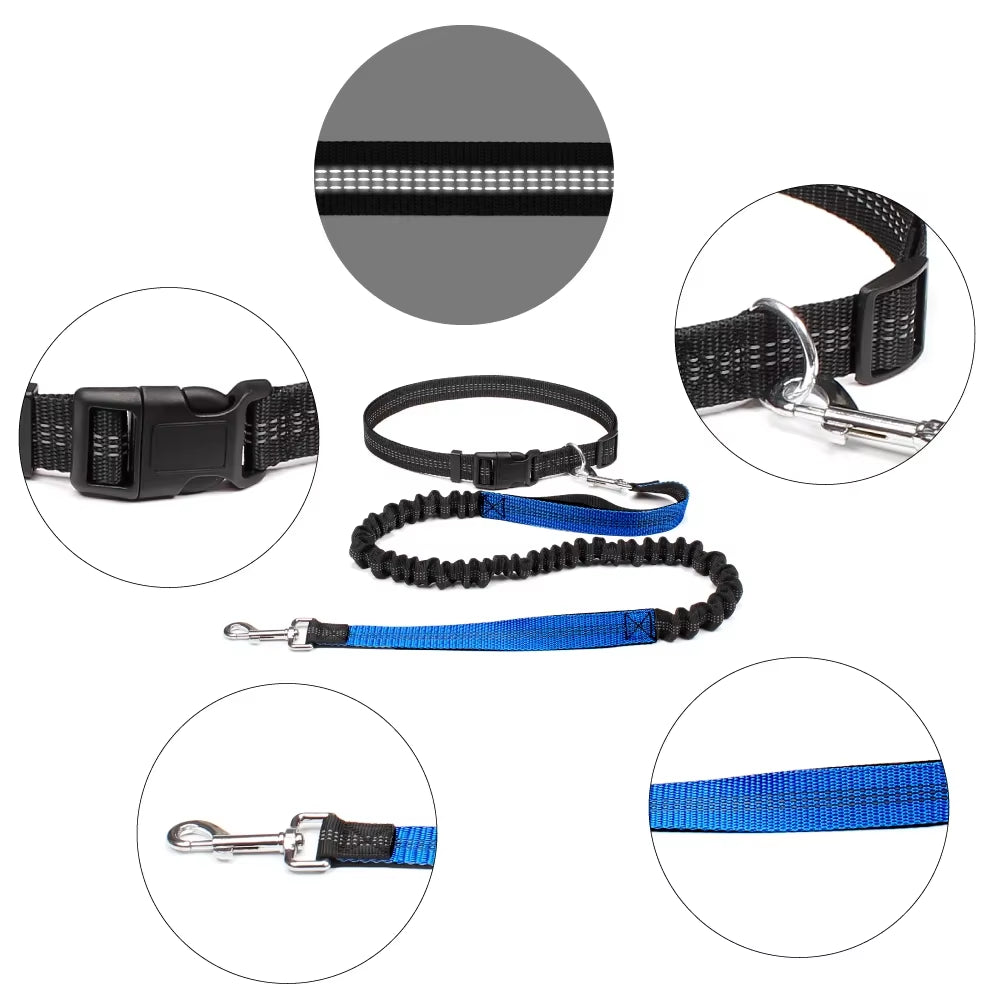 Hand Free Dog Leash for Pet