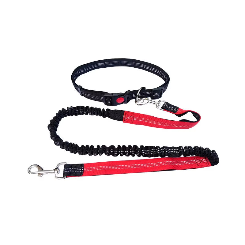Hand Free Dog Leash for Pet
