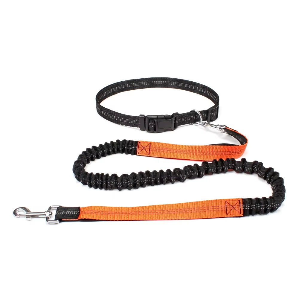 Hand Free Dog Leash for Pet