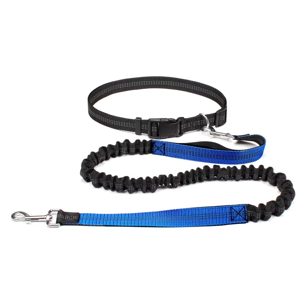 Hand Free Dog Leash for Pet
