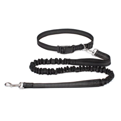 Hand Free Dog Leash for Pet