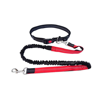 Hand Free Dog Leash for Pet